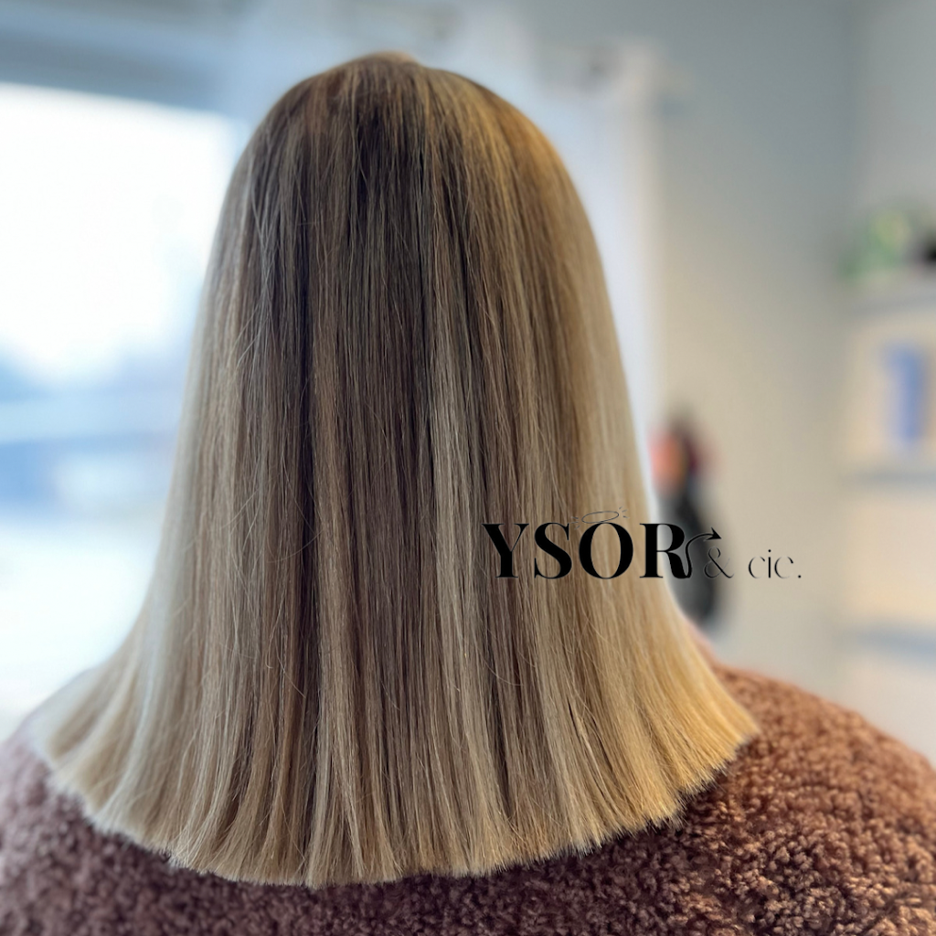Ysor & cie. | 535 Bd Laurier O, Sainte-Madeleine, QC J0H 1S0, Canada | Phone: (450) 501-7628