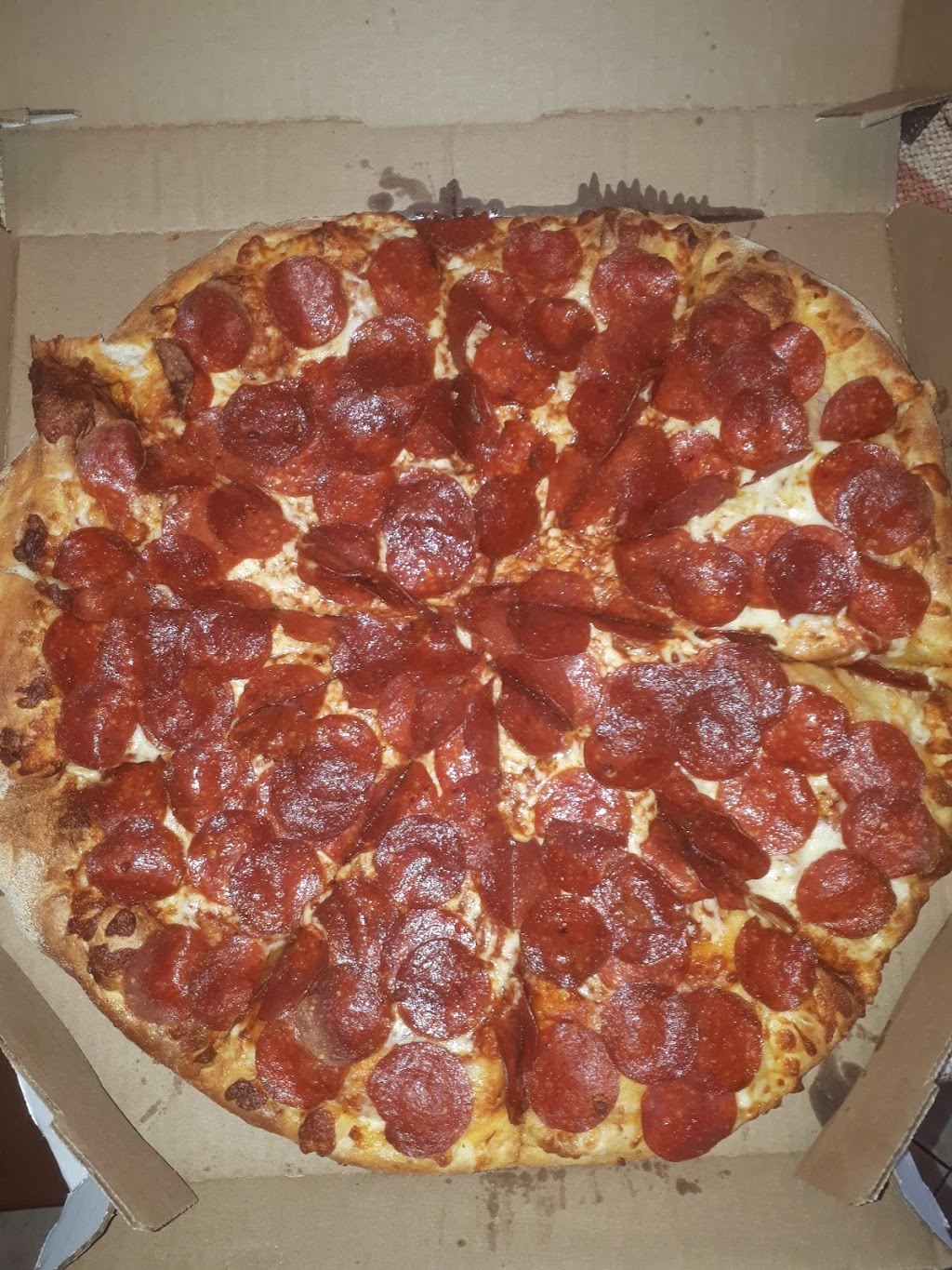Dominos | 3290 Boulevard Rosemont, Montréal, QC H1X 1K2, Canada | Phone: (514) 729-9111