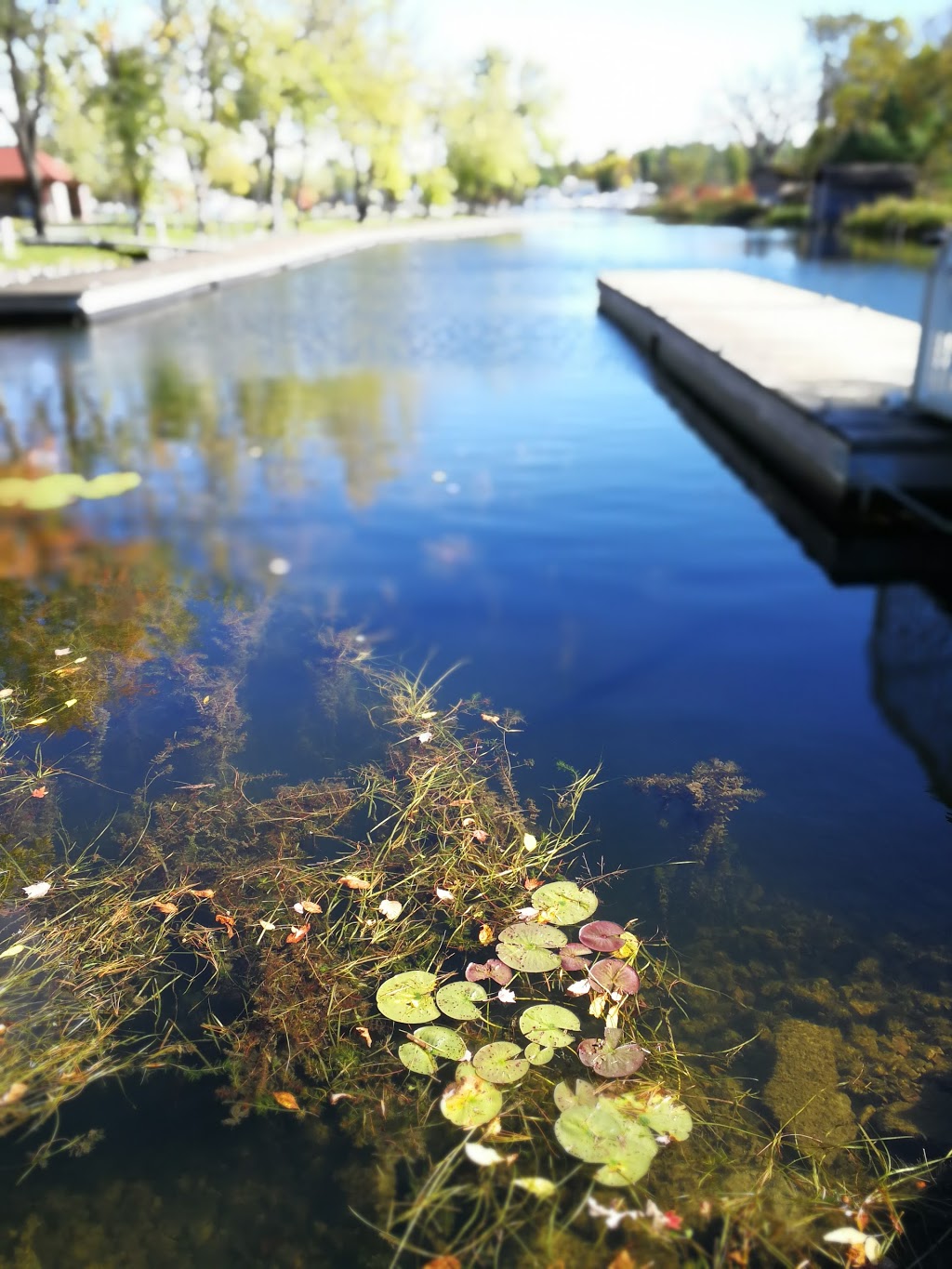 Port Severn Park | 39 Mintens Ln, Coldwater, ON L0K 1E0, Canada