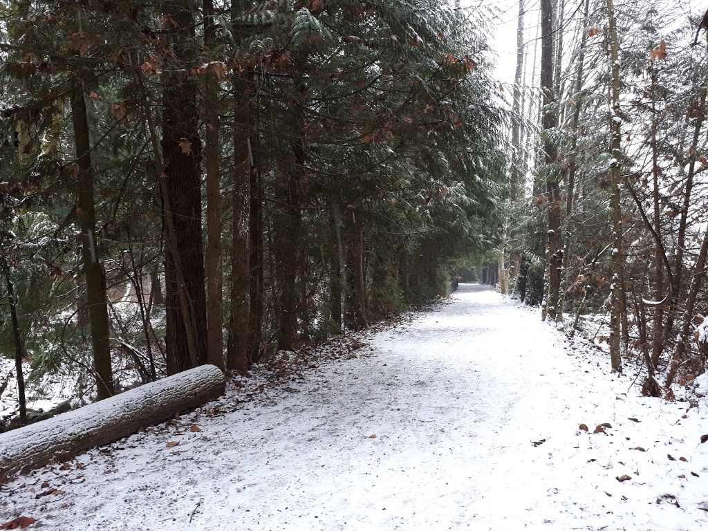 Hyde Creek Watershed Society | 3636 Coast Meridian Rd, Port Coquitlam, BC V3B 0E4, Canada | Phone: (604) 461-3474