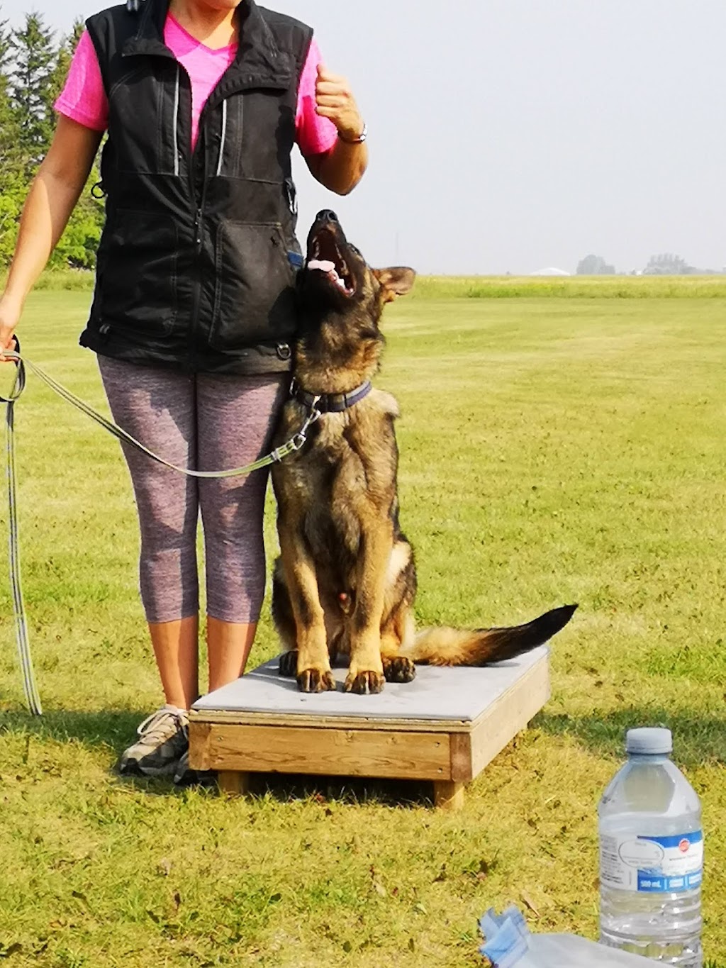 Winnipeg Working Dog Club | MB-101, Stony Mountain, MB R0C 3A0, Canada | Phone: (204) 793-1470