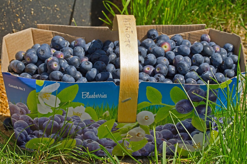 Fruitaki | 6966 Rte Marie-Victorin, St-Croix, QC G0S 2H0, Canada | Phone: (418) 930-8080