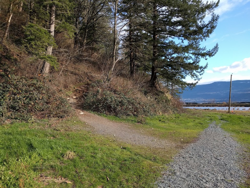 The abby grind | Lakemount Rd, Abbotsford, BC V3G 2T2, Canada