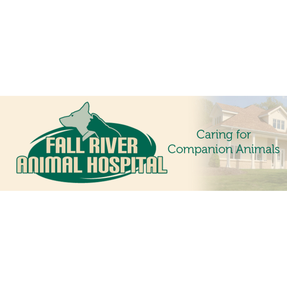 Fall River Animal Hospital | 3146 Nova Scotia Trunk 2, Fall River, NS B2T 1J5, Canada | Phone: (902) 861-4003