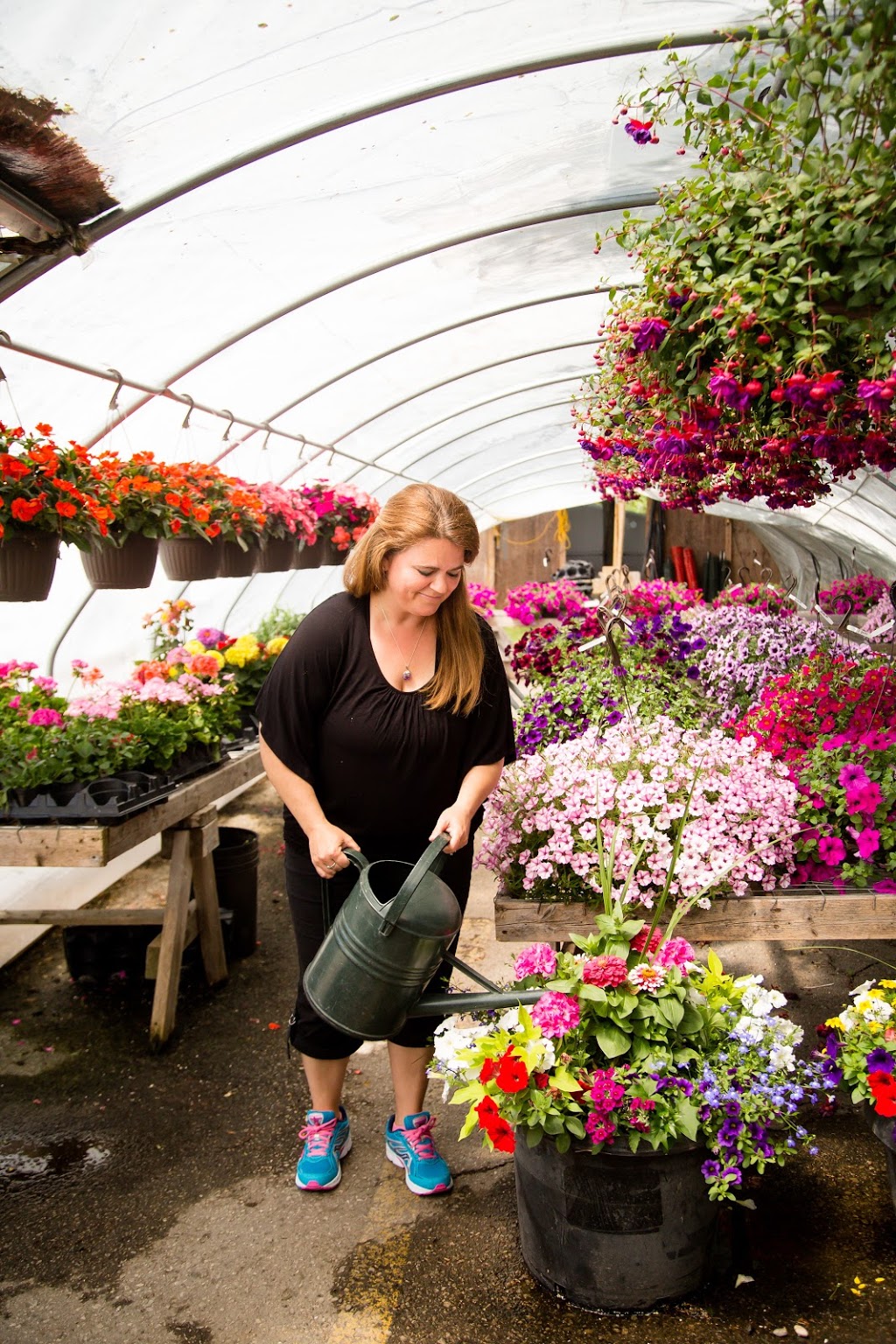 McLennan Flowers & Gifts | 2445 Main St, London, ON N6P 1R1, Canada | Phone: (519) 652-2042