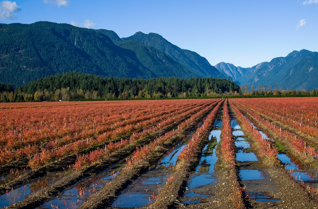Rise CPA | 566 Lougheed Hwy. 2nd floor, Coquitlam, BC V3K 3S3, Canada | Phone: (604) 936-4377
