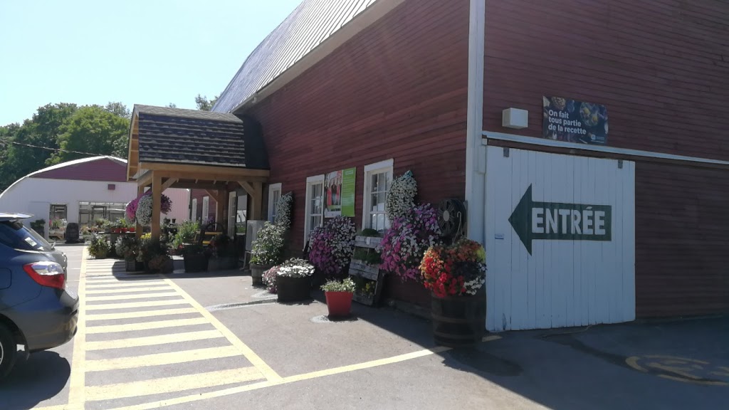 Ferme Des Ormes | 175 Rang du Chenal Tardif, Pierreville, QC J0G 1J0, Canada | Phone: (450) 568-3709