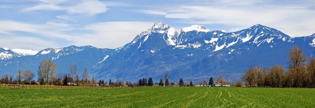 Art Klassen RMT | 8330 Young Rd, Chilliwack, BC V2P 4N9, Canada | Phone: (604) 792-1234