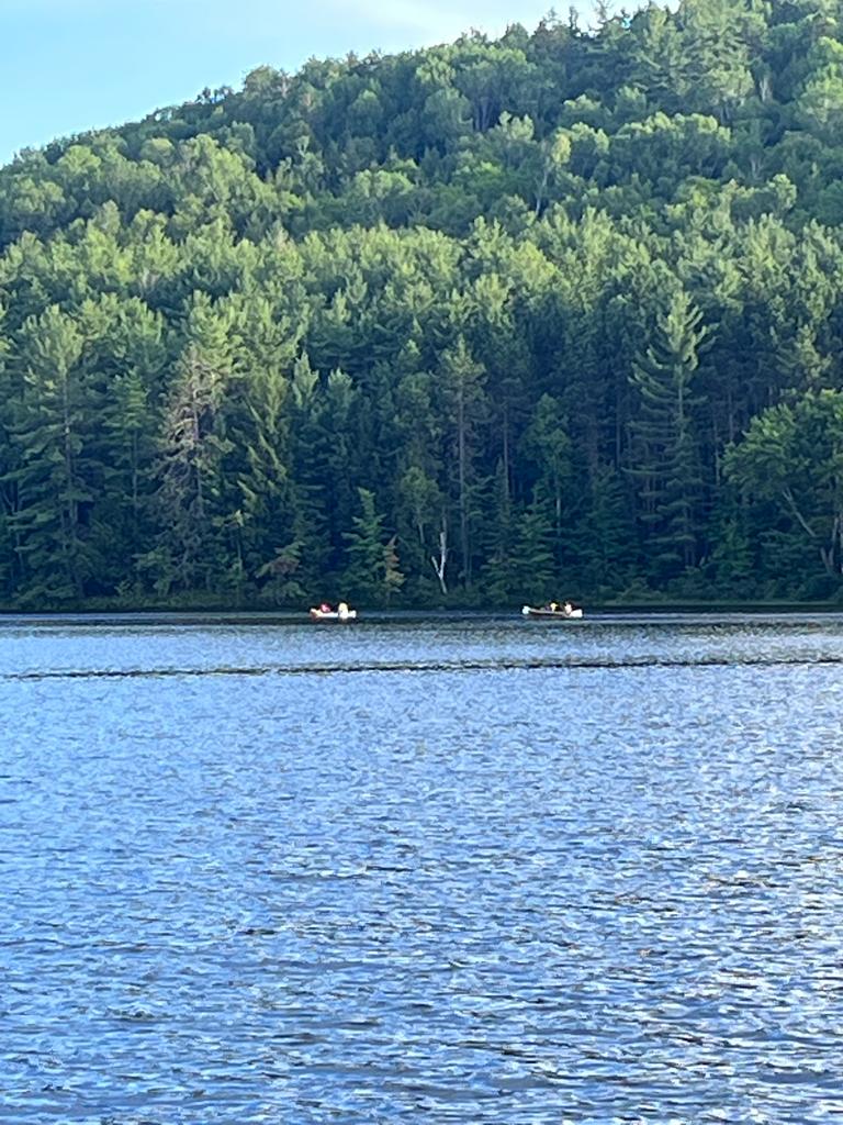 The Wicksens | 131 Horseshoe Ln, Barrys Bay, ON K0J 1B0, Canada | Phone: (647) 710-5281