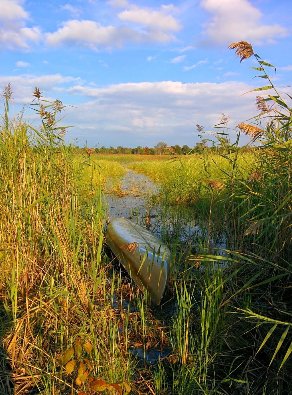 Rondeau Provincial Park | 18050 Rondeau Park Road, Morpeth, ON N0P 1X0, Canada | Phone: (519) 674-1750