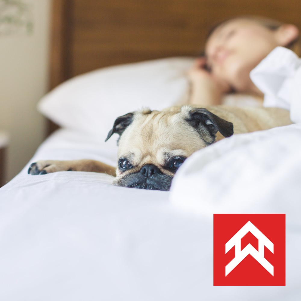 Hunter Residential Developments Corporate Office | 230 Eversyde Blvd SW #1101, Calgary, AB T2Y 0J4, Canada | Phone: (403) 201-0162