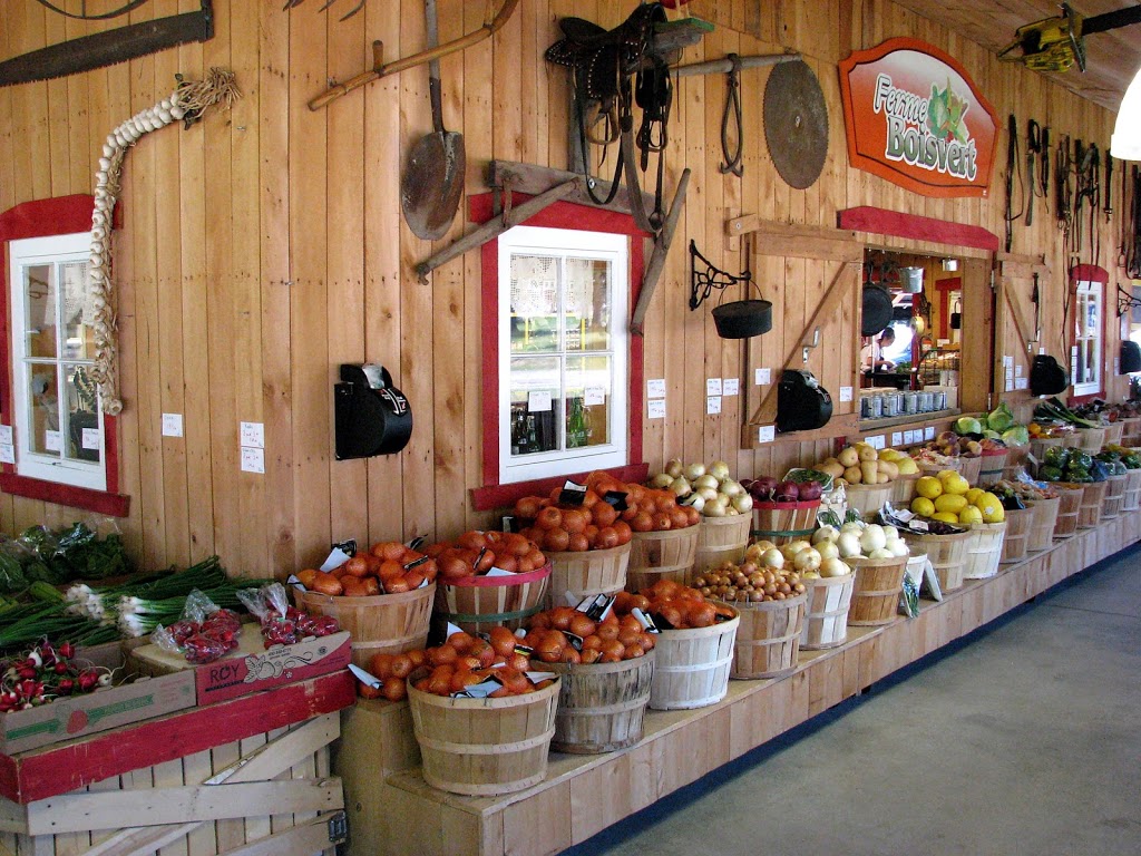 Ferme Boivert | 1200 Rang Saint Michel, Shawinigan-Sud, QC G9P 4G2, Canada | Phone: (819) 537-9589