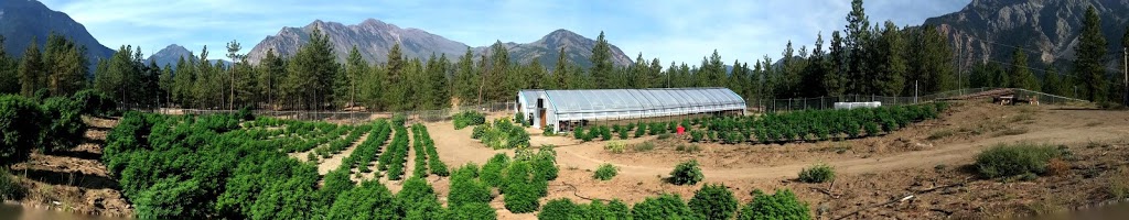 Whistler Therapeutics | 1420 Alpha Lake Rd #210, Whistler, BC V8E 0R8, Canada | Phone: (604) 906-0530
