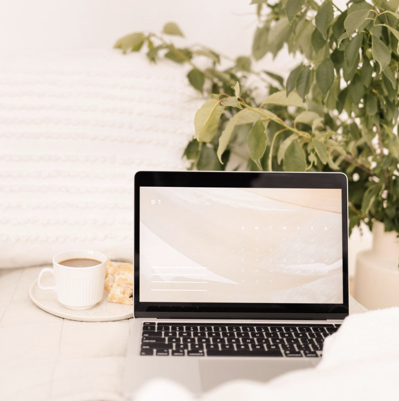 Peach Media | 48 Main St W, Drayton, ON N0G 1P0, Canada | Phone: (226) 929-3098