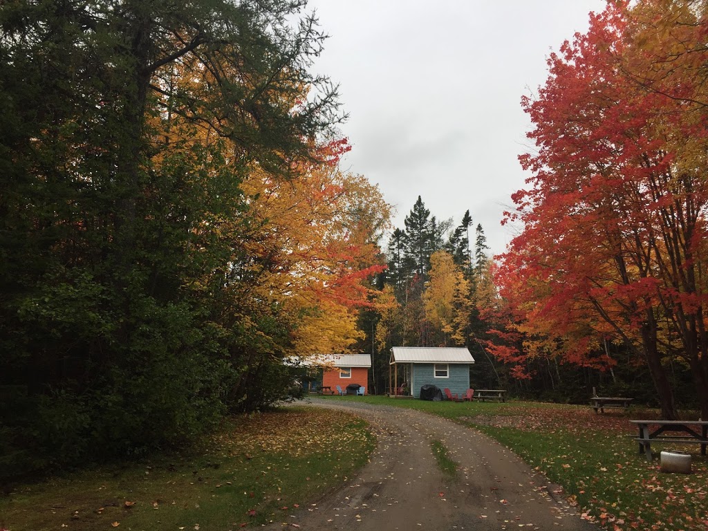 Enclosure Campground | 8 Enclosure Rd, Derby Junction, NB E1V 5B2, Canada | Phone: (506) 622-8638