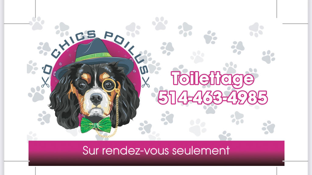 toilettage O chics poilus | 458 Rue Molina, Saint-Lin - Laurentides, QC J5M 0L3, Canada | Phone: (514) 463-4985