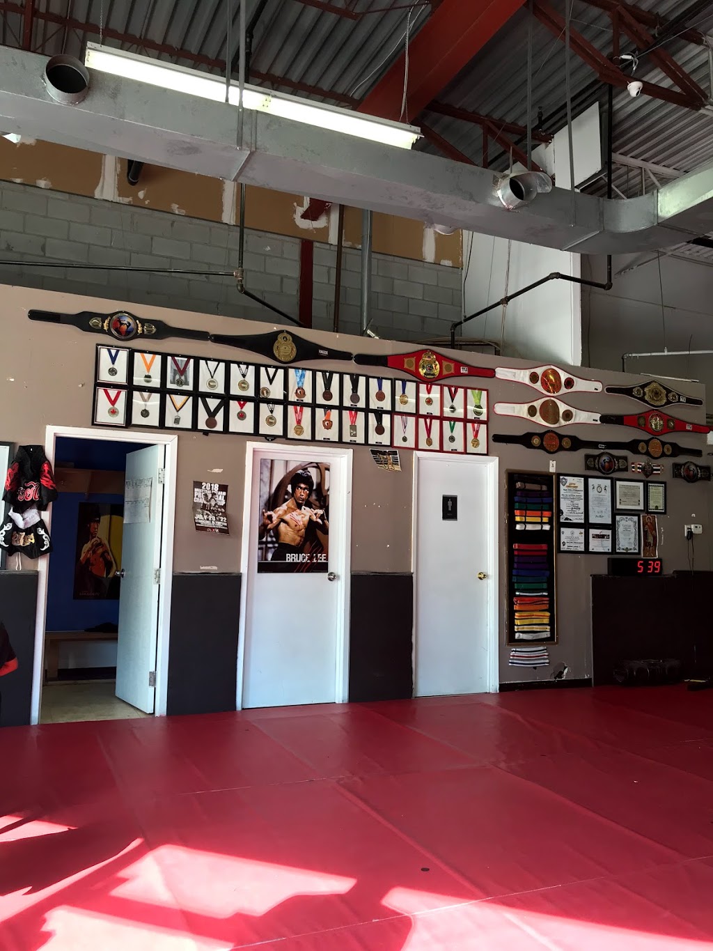 Legends MMA | 253 Summerlea Rd, Brampton, ON L6T 5A8, Canada | Phone: (647) 999-0022
