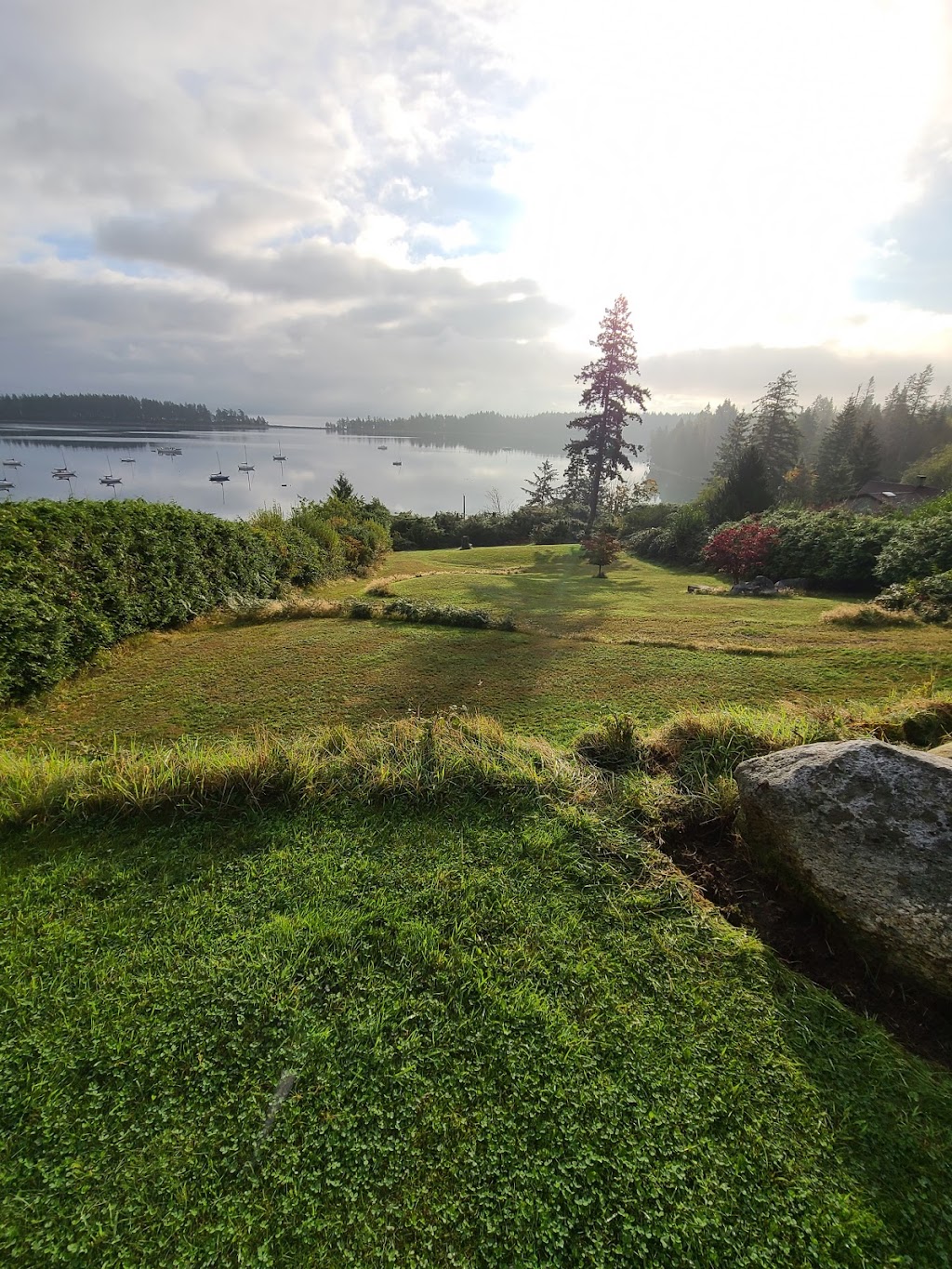 Luna Vista Cabin Rentals | 1436, 1430 Schooner Rd, Heriot Bay, BC V0P 1H0, Canada | Phone: (250) 285-3529