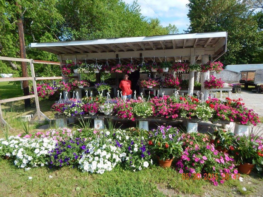 Debbies veggies and rotarius greenhouse | 10246 Dixie Hwy, Ira Township, MI 48023, USA | Phone: (586) 725-0831