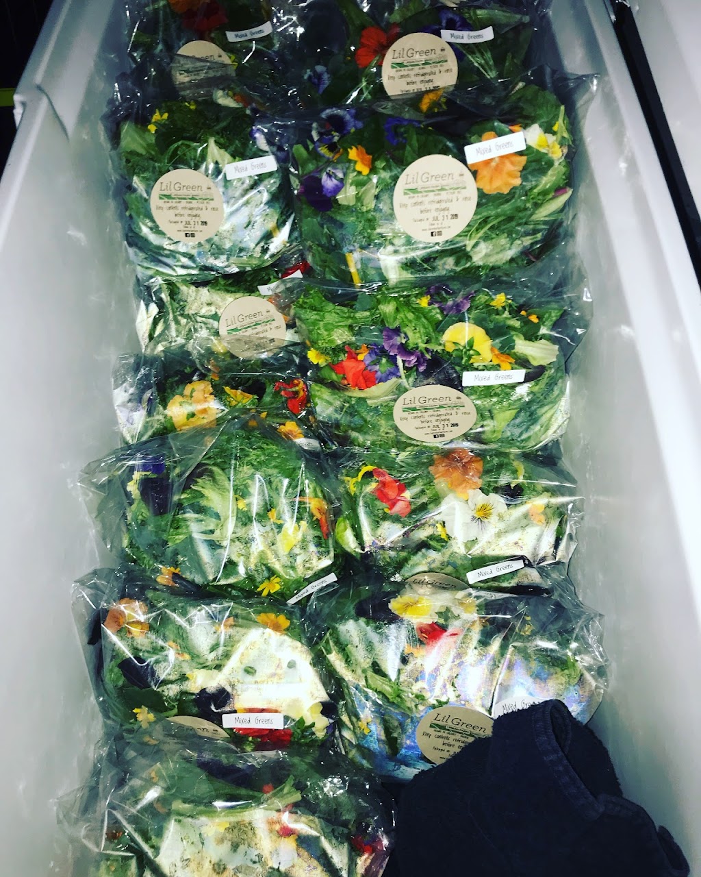 lil Green Urban Farm | 512 Thornhill Dr NW, Calgary, AB T2K 2R7, Canada | Phone: (403) 660-2103