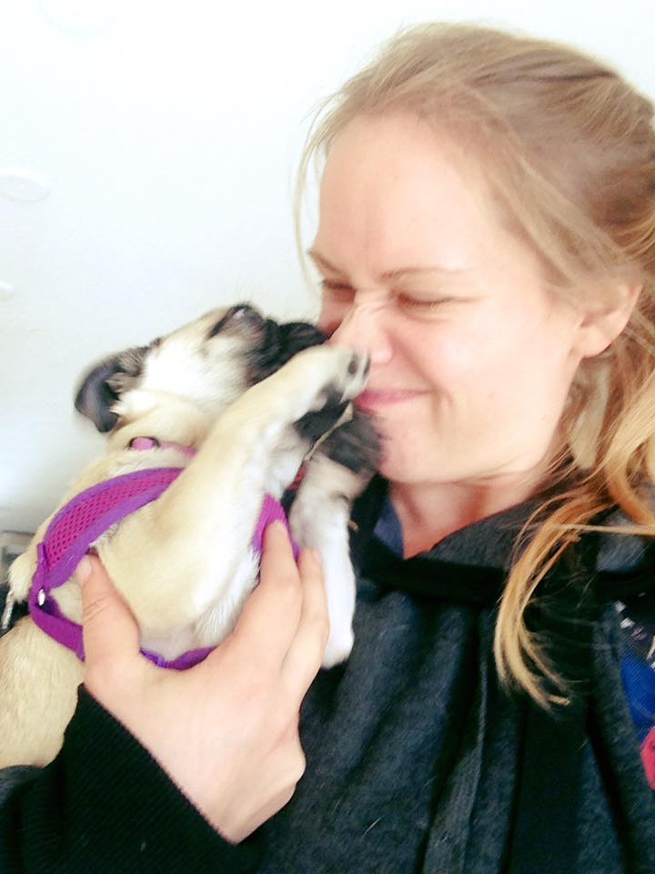 Smith Canine Academy | 82 Woodlawn Rd W, Guelph, ON N1H 1B2, Canada | Phone: (519) 240-4497