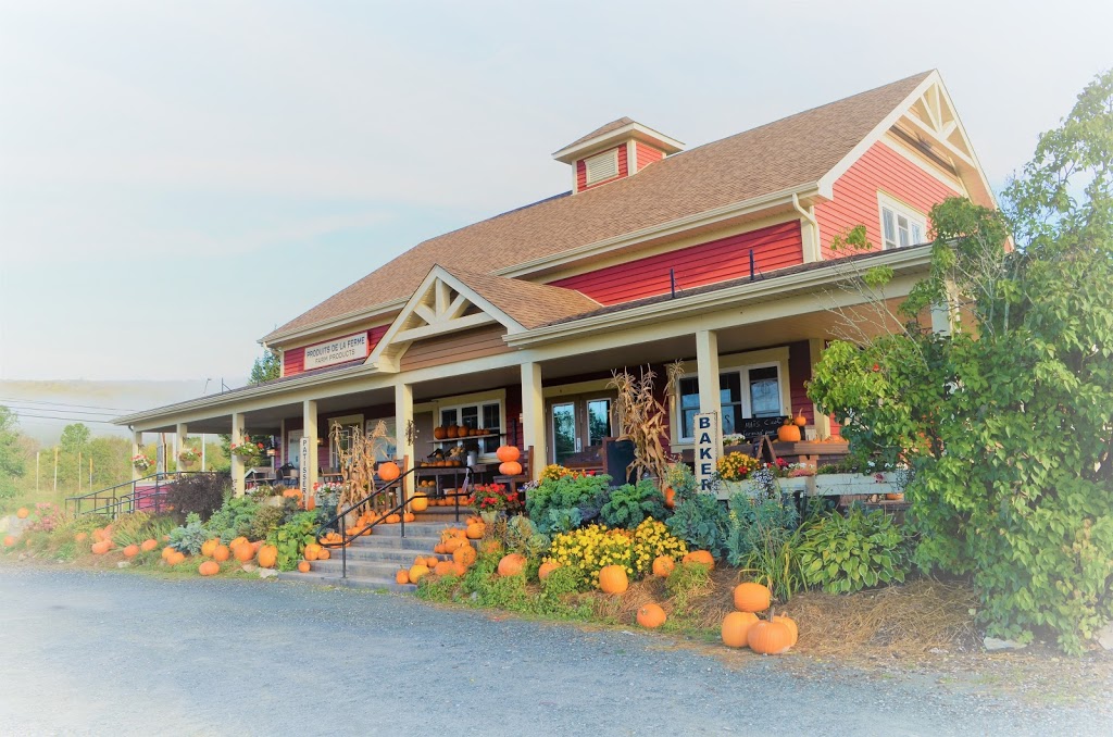 Beaulieus Farmers Market | 3700 QC-147, Waterville, QC J0B 3H0, Canada | Phone: (819) 562-6477