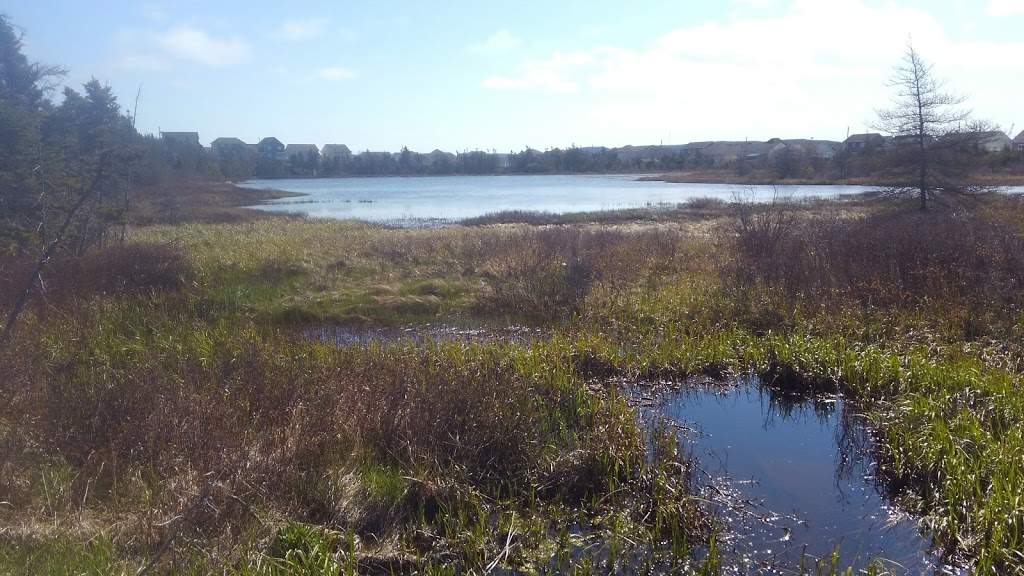 Branscombes Pond Park | Branscomes Pond Walk, Mount Pearl, NL A1N 3L2, Canada
