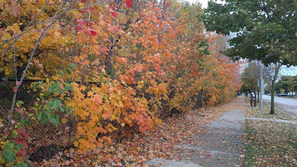 Frank Robson Woodlot | 68 Empress Rd, Maple, ON L6A 1V1, Canada