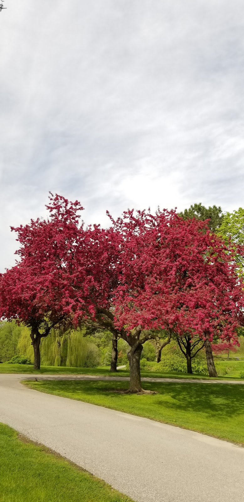 Oakdale Golf & Country Club | 2388 Jane St, North York, ON M3M 1A8, Canada | Phone: (416) 245-3500