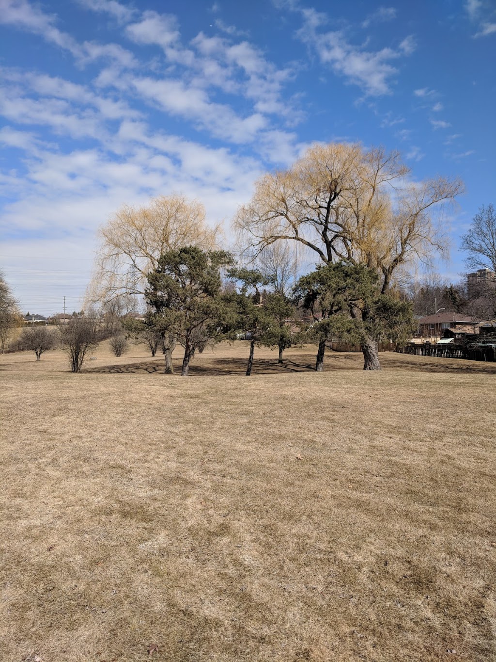 Willesden Park | Willesden Park, Toronto, ON M2H, Canada