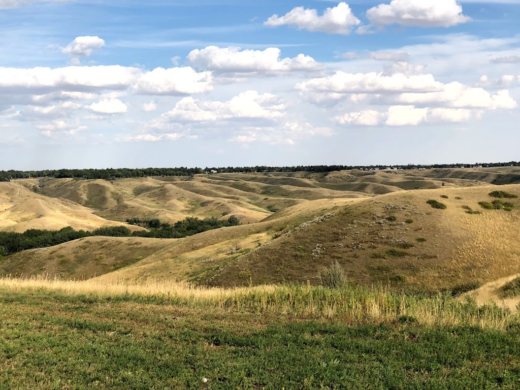 University of Lethbridge | 4401 University Dr W, Lethbridge, AB T1K 3M4, Canada | Phone: (403) 329-2111