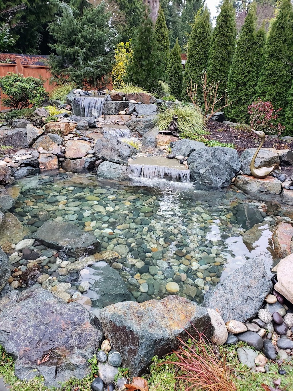 Superior Ponds & Landscaping | 5224 7a Ave, Delta, BC V4M 1R4, Canada | Phone: (604) 943-6070