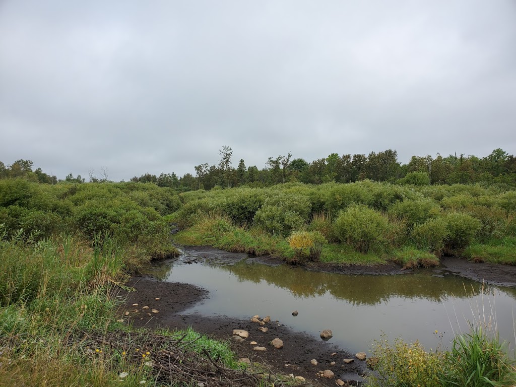 Moorefield Excavating | 6297 Wellington County Rd 109, Harriston, ON N0G 1Z0, Canada | Phone: (519) 510-3571