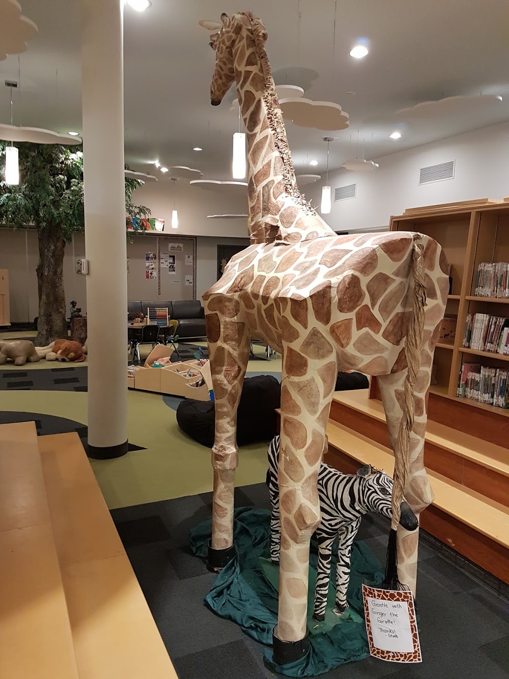 Jake Epp Public Library | 255 Elmdale St, Steinbach, MB R5G 0C9, Canada | Phone: (204) 326-6841
