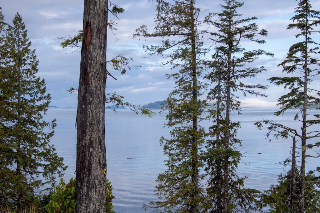 Telegraph Cove | 4040 Telegraph Bay Rd, Victoria, BC V8N 4J5, Canada | Phone: (250) 475-5522