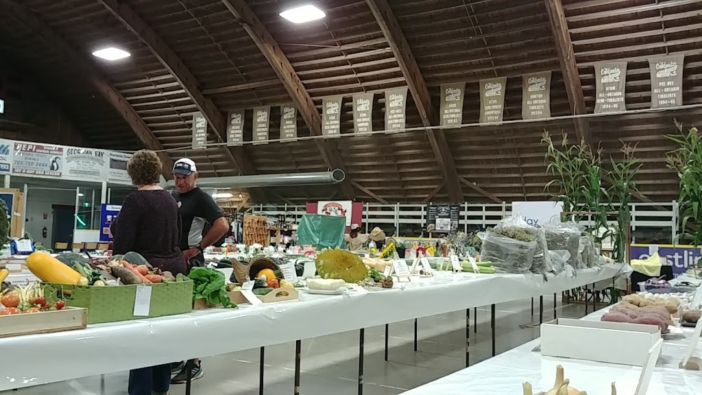 Coldwater Arena | 11 Michael Anne Dr, Coldwater, ON L0K 1E0, Canada | Phone: (705) 686-3322