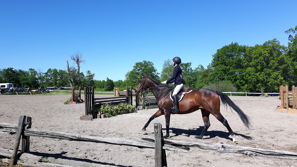 Burbrook Equestrian | 2147 Cordukes Rd, Kingston, ON K7L 4V4, Canada | Phone: (613) 544-3428