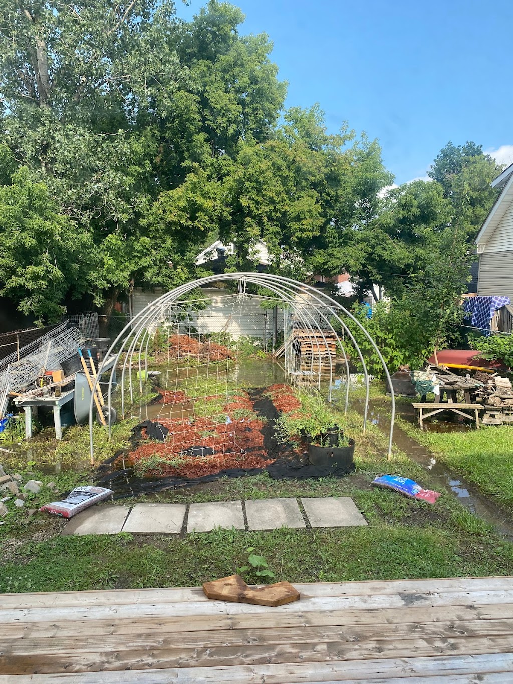 Permaculture Live | 4780 5th Ave, Niagara Falls, ON L2E 4R8, Canada | Phone: (647) 824-1438