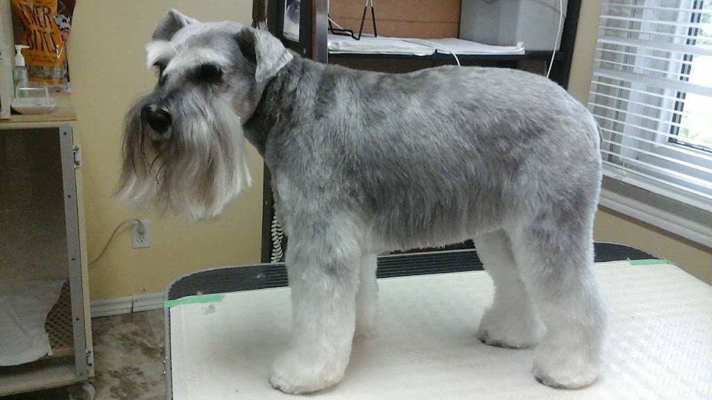 Candi Cares Professional Dog Grooming | 477 OConnell Rd, Peterborough, ON K9J 4E1, Canada | Phone: (705) 748-6063