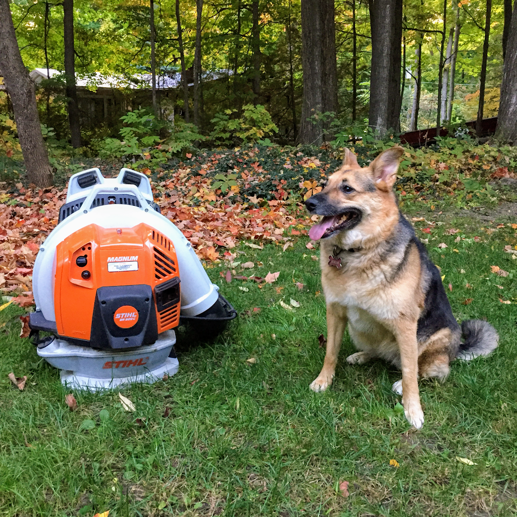 Wolf Lawn Care | 1673 Gazelle Trail, Lakefield, ON K0L 2H0, Canada | Phone: (705) 931-0214