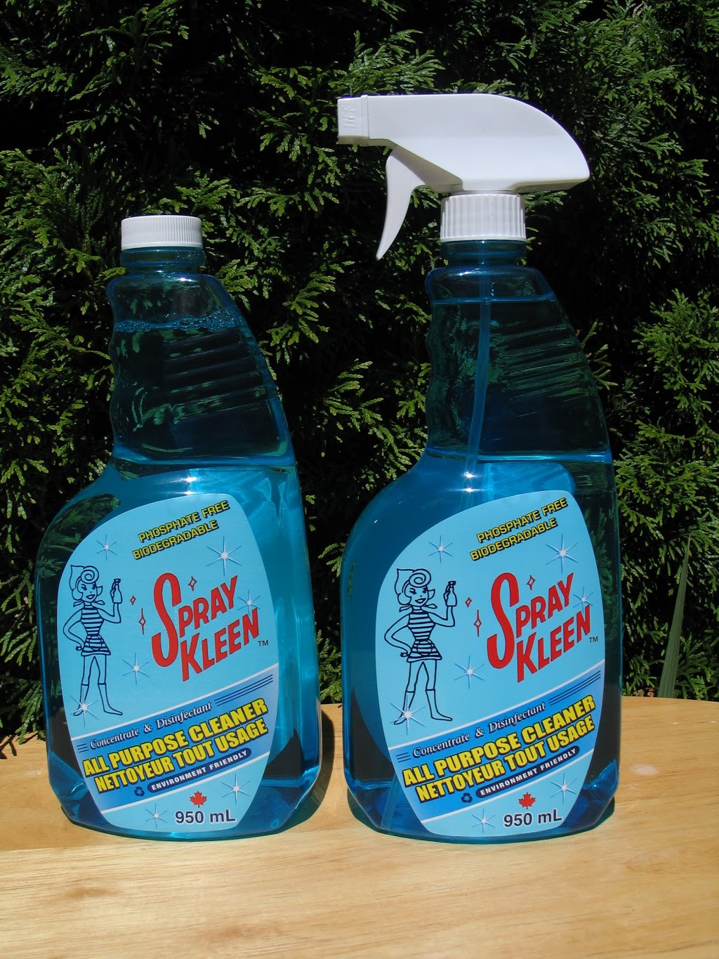 Spray Clean Kleen | 1849 Harbour St, Port Coquitlam, BC V3C 1A4, Canada | Phone: (604) 945-5758