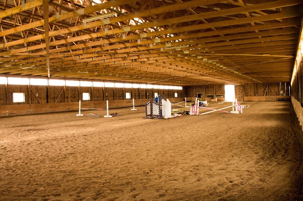 Maximum Equestrian Limited | 8814 Twenty Rd, Smithville, ON L0R 2A0, Canada | Phone: (289) 922-9029