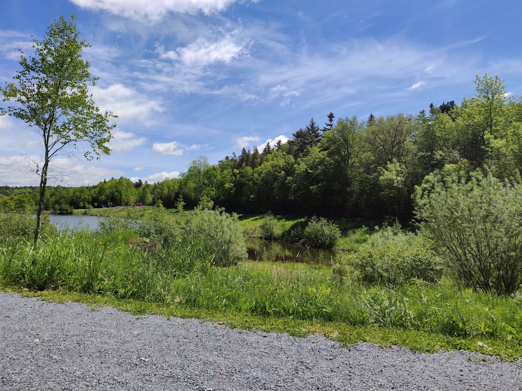QPlex | 20 Randy Jones Way, Quispamsis, NB E2E 0B3, Canada | Phone: (506) 848-5900