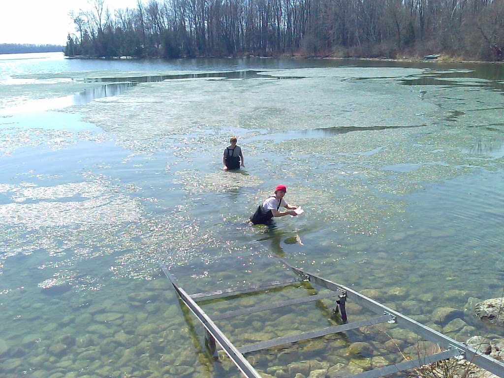 Big Daddys Docks | 4063 Hampshire Mills Line, Orillia, ON L3V 0Y5, Canada | Phone: (705) 794-9269