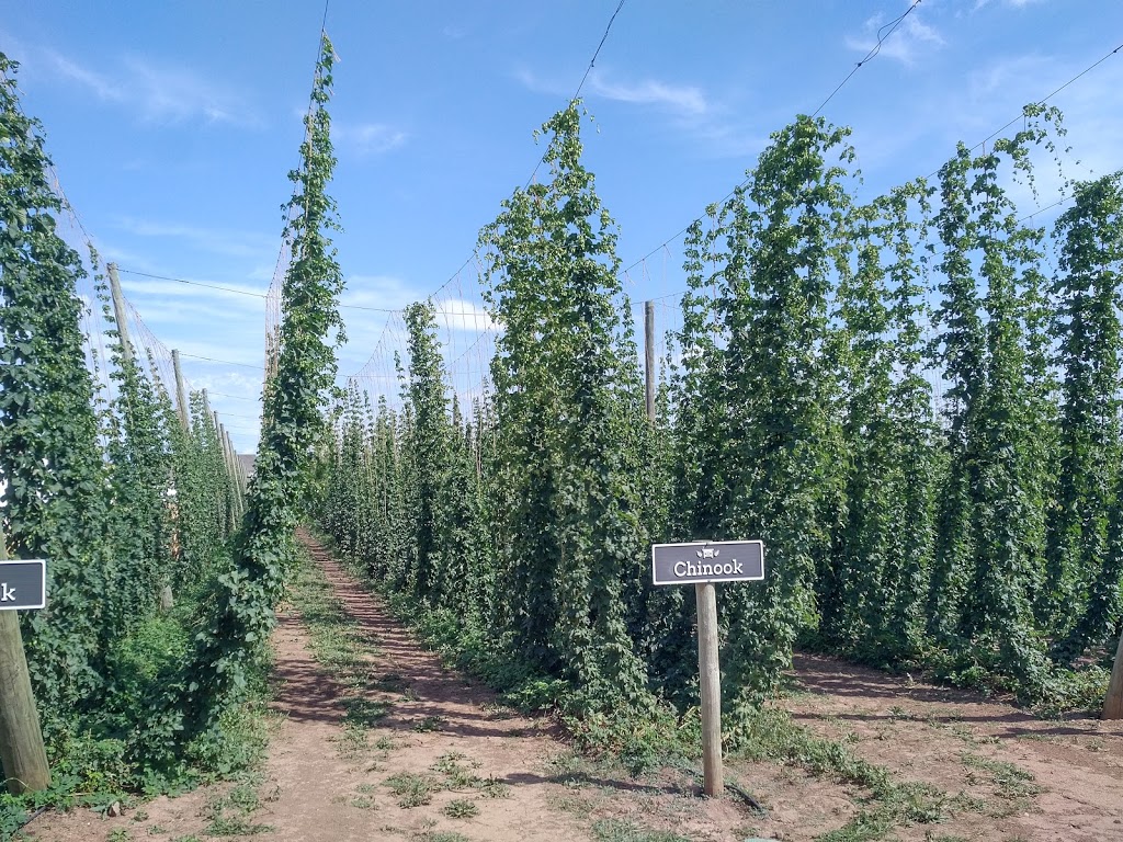 Bench Brewing Company | 3991 King St, Beamsville, ON L0R 1B1, Canada | Phone: (905) 562-3991