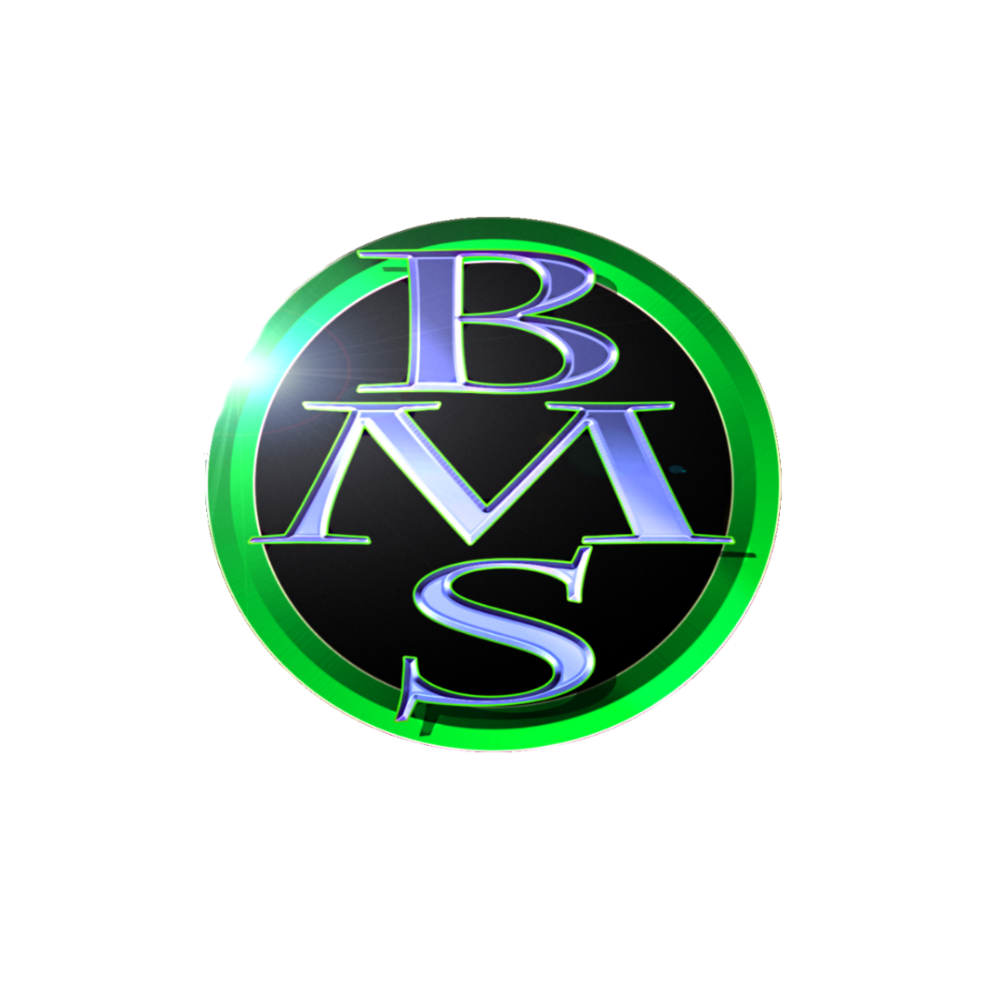 BMS Video Creation Service For Your Marketing Needs | 658 Dolly Bird Ln, Mississauga, ON L5W 1G8, Canada | Phone: (416) 885-4194