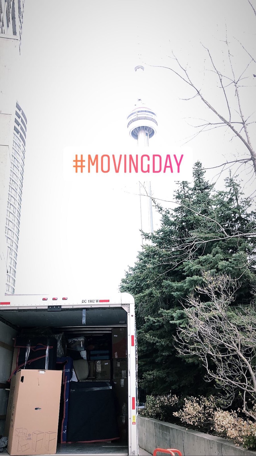 Arieli MOVING | 35 Colville Rd, North York, ON M6M 2Y2, Canada | Phone: (647) 691-8838