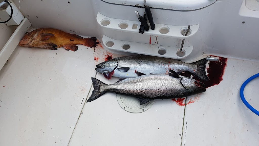 Bonefish Charters | 675 Prowse Rd, Gibsons, BC V0N 1V8, Canada | Phone: (604) 790-3474