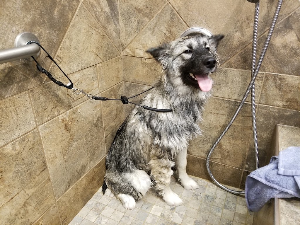 Pet Valu | 1221 Canyon Meadows Dr SE, Calgary, AB T2J 6G2, Canada | Phone: (403) 723-1033