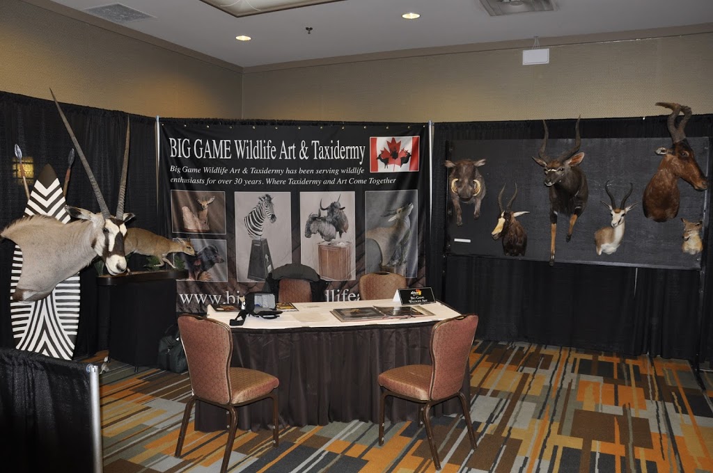 Big Game Wildlife Art and Taxidermy | 1726 Clyde Rd, Cambridge, ON N1R 5S7, Canada | Phone: (519) 620-9532